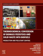 Thermochemical Conversion of Biomass Feedstock and Solid Waste Into Biofuels: Production and Pollutant Control