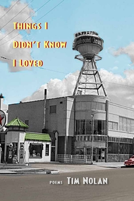 Things I Didn't Know I Loved - Nolan, Tim