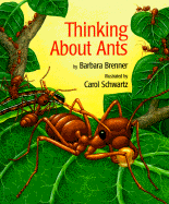 Thinking about Ants