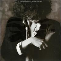 This Is the Sea [LP] - The Waterboys