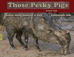 Those Pesky Pigs: Javelinas making themselves at home A photographic study