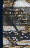 Thoughts On a Pebble, Or, a First Lesson in Geology