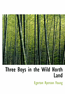 Three Boys in the Wild North Land - Young, Egerton Ryerson