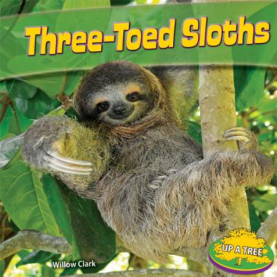 Three-Toed Sloths - Clark, Willow