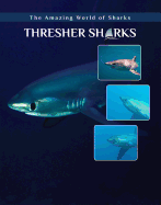Thresher Sharks