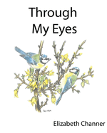 Through My Eyes: A book of poems mainly for children and the young at heart