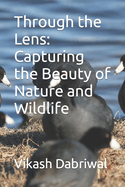 Through the Lens: Capturing the Beauty of Nature and Wildlife