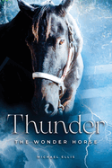 Thunder the Wonder Horse