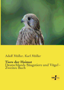 Tiere der Heimat: Deutschlands Sugetiere und Vgel - Zweites Buch