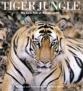 Tiger Jungle: The Epic Tale of Bandhavgarh