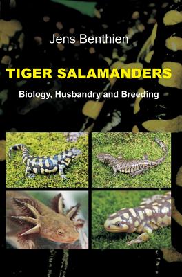 Tiger Salamanders - Benthien, Jens