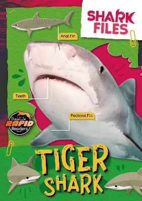 Tiger Shark - Twiddy, Robin, and Andrews, E.C. (Adapted by), and Li, Amy (Designer)