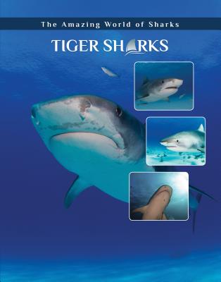 Tiger Sharks - Roseborough, Elizabeth