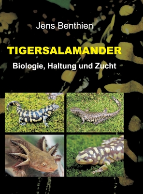 Tigersalamander - Benthien, Jens