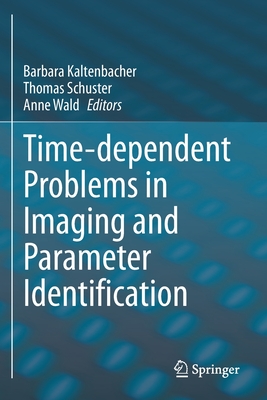 Time-dependent Problems in Imaging and Parameter Identification - Kaltenbacher, Barbara (Editor), and Schuster, Thomas (Editor), and Wald, Anne (Editor)