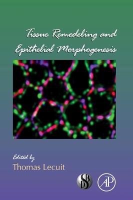 Tissue Remodeling and Epithelial Morphogenesis: Volume 89 - Lecuit, Thomas