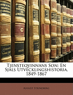 Tjensteqvinnans Son: En Sjals Utvecklingshistoria, 1849-1867