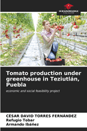 Tomato production under greenhouse in Teziutln, Puebla