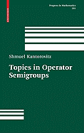 Topics in Operator Semigroups