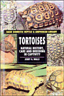 Tortoises (Reptiles)