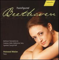 Transfigured Beethoven - Petronel Malan (piano)