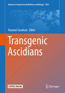 Transgenic Ascidians