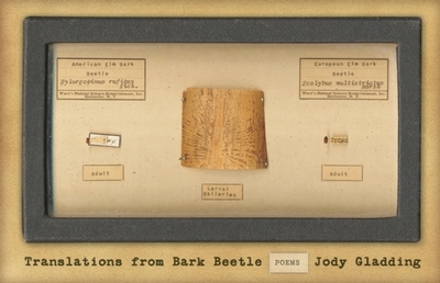 Translations from Bark Beetle: Poems - Gladding, Jody, Ms.