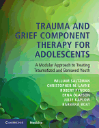 Trauma and Grief Component Therapy for Adolescents: A Modular Approach to Treating Traumatized and Bereaved Youth