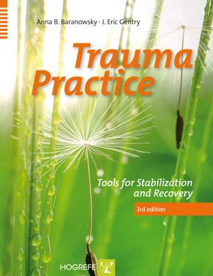 Trauma Practice: Tools for Stabilization and Recovery - Barabowsky, Anna B, and Gentry, J Eric, and Baranowsky, Anna B