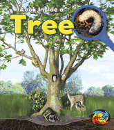 Tree: Look Inside