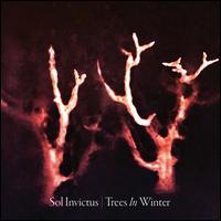 Trees in Winter - Sol Invictus