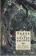 Trees of the Celtic Saints  The Ancient Yews of Wales
