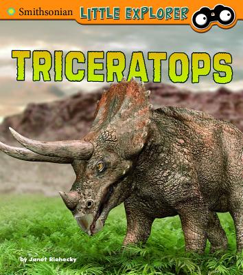 Triceratops - Riehecky, Janet