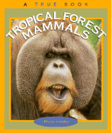 Tropical Forest Mammals