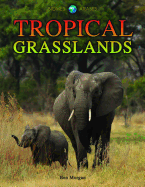 Tropical Grasslands