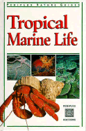 Tropical Marine Life: A Study of Kendo Kata - Periplus Editions, and Allen, Gerald R, Dr.