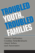 Troubled Youth, Troubled Families: Understanding Families at Risk for Adolescent Maltreatment