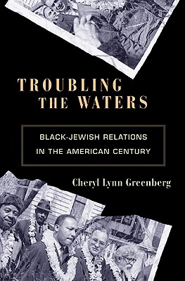 Troubling the Waters: Black-Jewish Relations in the American Century - Greenberg, Cheryl Lynn