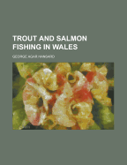 Trout and Salmon Fishing in Wales