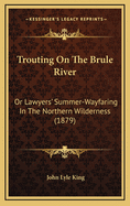 Trouting On The Brule River: Or Lawyers' Summer-Wayfaring In The Northern Wilderness (1879)