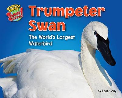 Trumpeter Swan: The World's Largest Waterbird - Gray, Leon