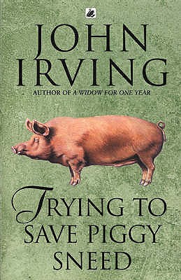 Trying To Save Piggy Sneed - Irving, John