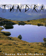 Tundra