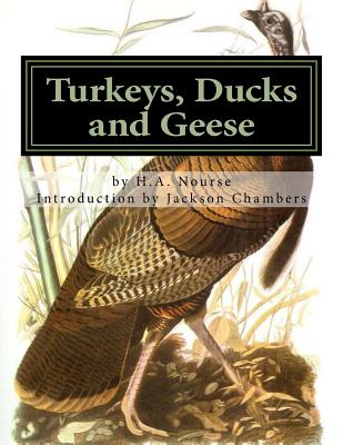 Turkeys, Ducks and Geese: Breeding, Hatching and Rearing For Pleasure or Profit - Chambers, Jackson (Introduction by), and Nourse, H a