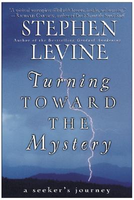 Turning Toward the Mystery - Levine, Stephen