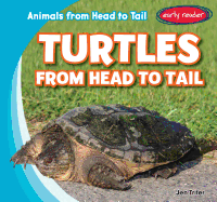 Turtles from Head to Tail