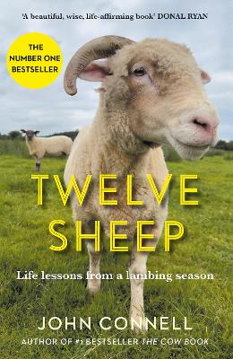 Twelve Sheep: Life lessons from a lambing season - Connell, John