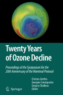 Twenty Years of Ozone Decline