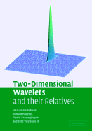 Two-Dimensional Wavelets and Their Relatives