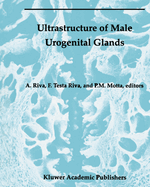 Ultrastructure of Male Urogenital Glands: Prostate, Seminal Vesicles, Urethral, and Bulbourethral Glands